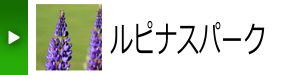 農業科学技術公園　ルピナスパーク